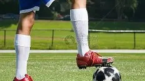 开云体育官网在线注册 资讯 083339 9go