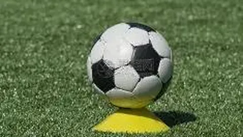 开云体育官网在线注册 产品 083336 9sr