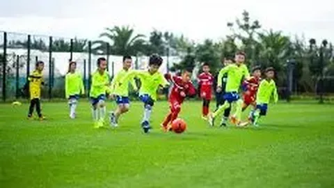 开云体育官网在线注册 产品 083336 gbo