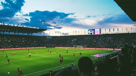 开云体育官网在线注册 产品 083131 g24